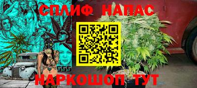 скорость Новодвинск